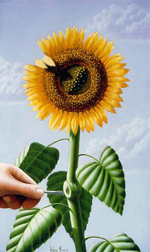 girasole-fabio-greco